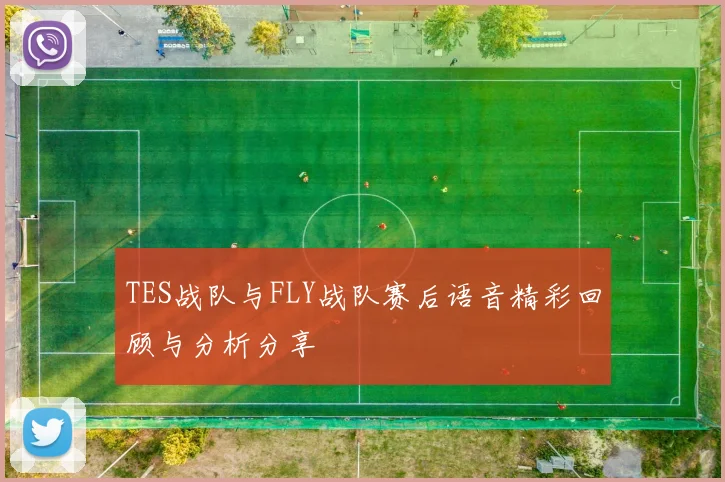TES战队与FLY战队赛后语音精彩回顾与分析分享