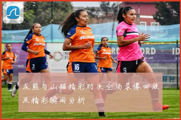 灰熊与山猫精彩对决全场录像回放及精彩瞬间分析