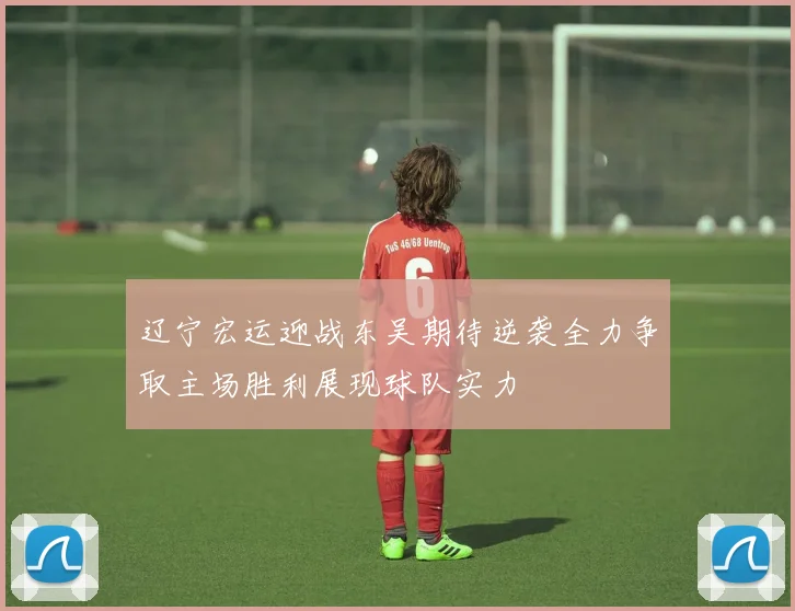 辽宁宏运迎战东吴期待逆袭全力争取主场胜利展现球队实力