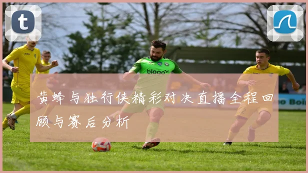 黄蜂与独行侠精彩对决直播全程回顾与赛后分析