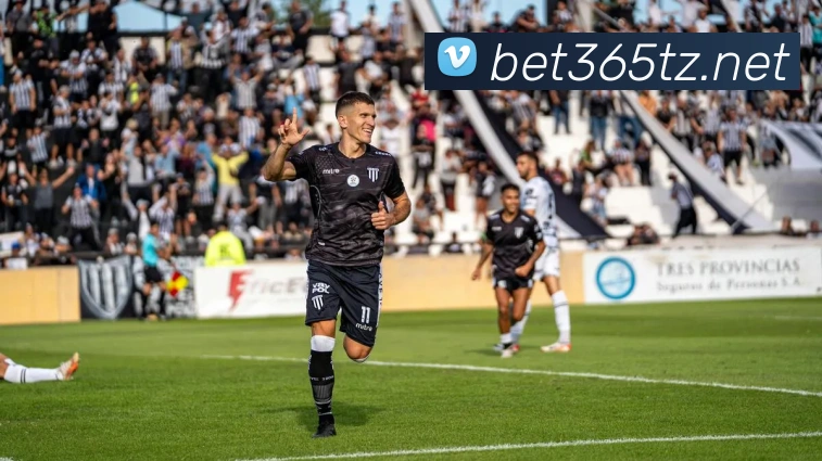 365投注平台生态图